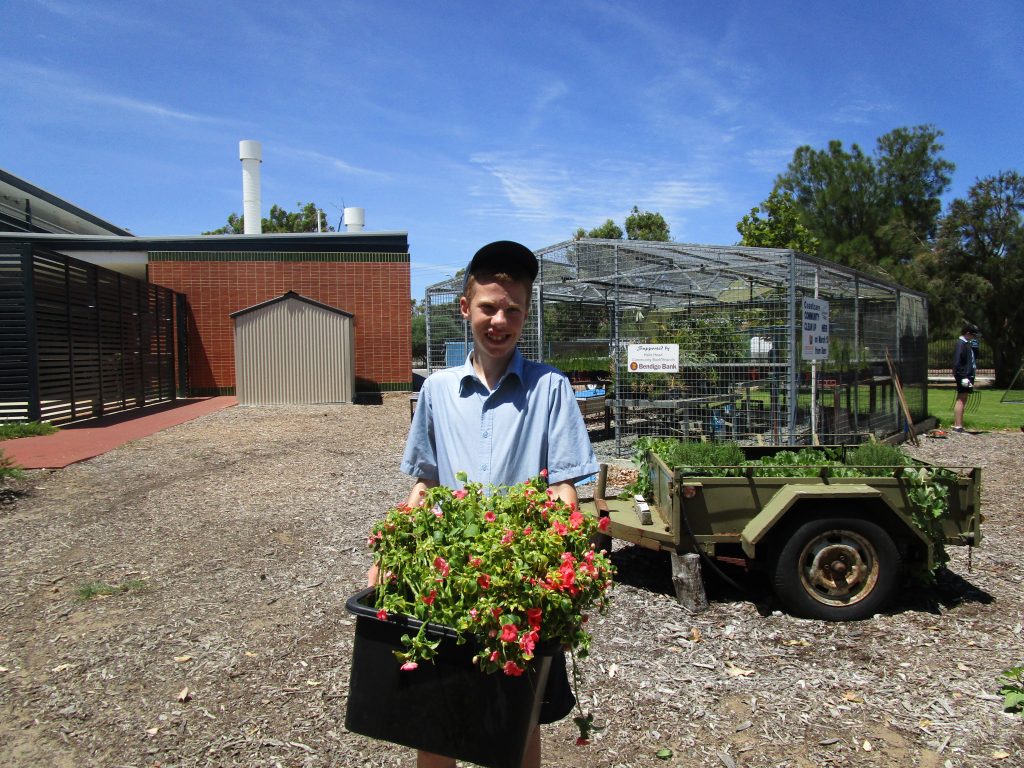 Our Focus Halls Head College ESC